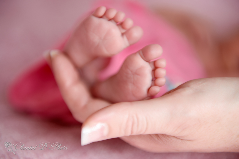 Baby Isabella - Newborn Photoshoot