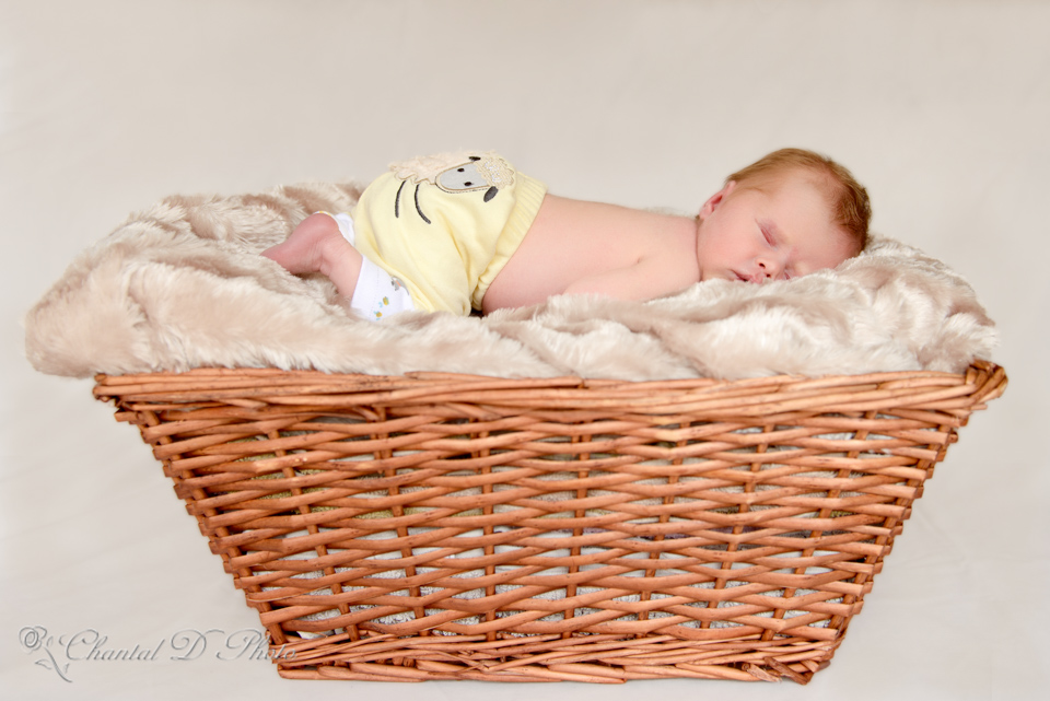 Baby Isabella - Newborn Photoshoot