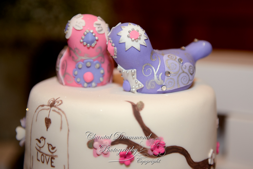 Cake Design - Annicas Cakes